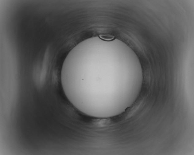 X0000102000135200808011129