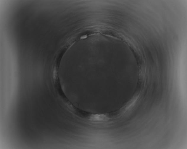 X0000102000137200808011129