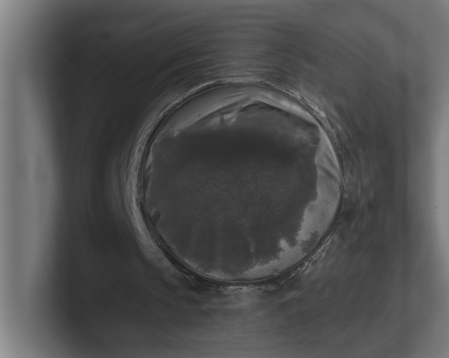 X0000102000145200808011129