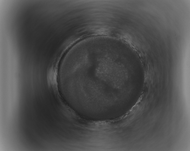 X0000102000146200808011129