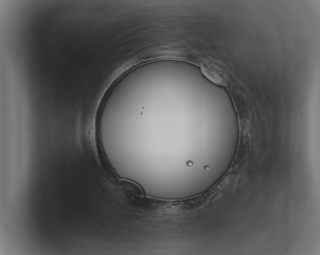 X0000102000148200808011129