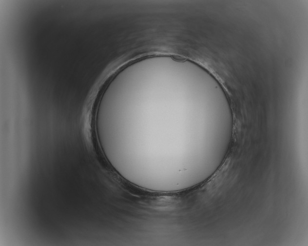 X0000102000151200808011129