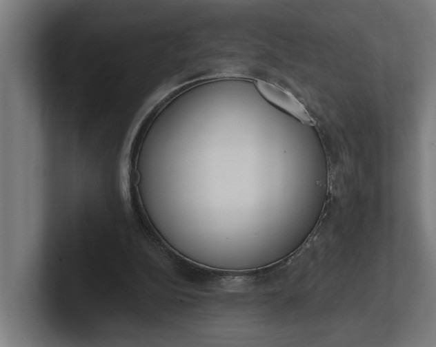 X0000102000152200808011129