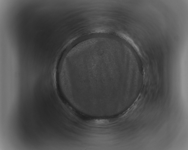 X0000102000154200808011129