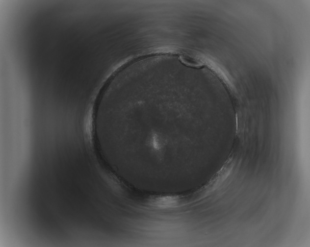 X0000102000156200808011129