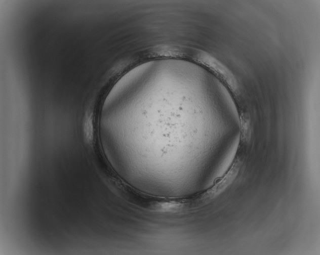 X0000102000158200808011129