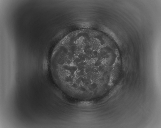 X0000102000161200808011129