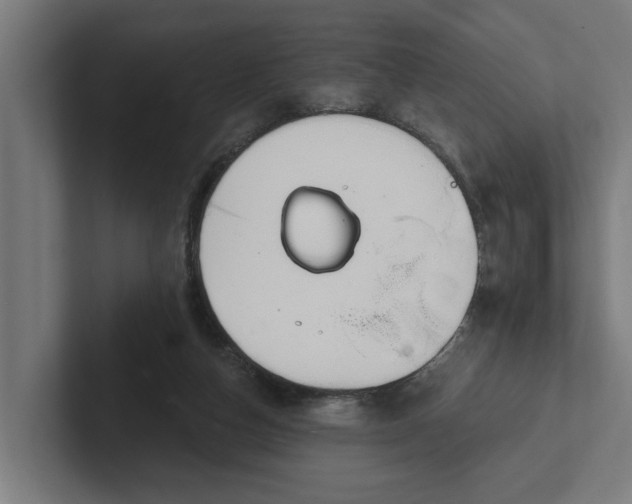 X0000102000162200808011129