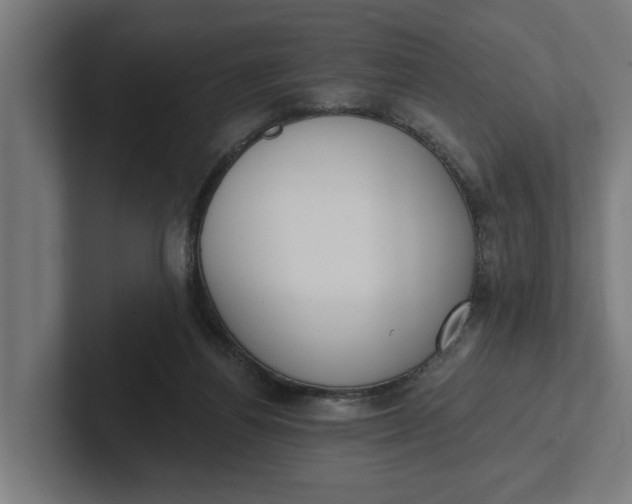 X0000102000164200808011129