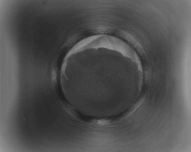 X0000102000165200808011129