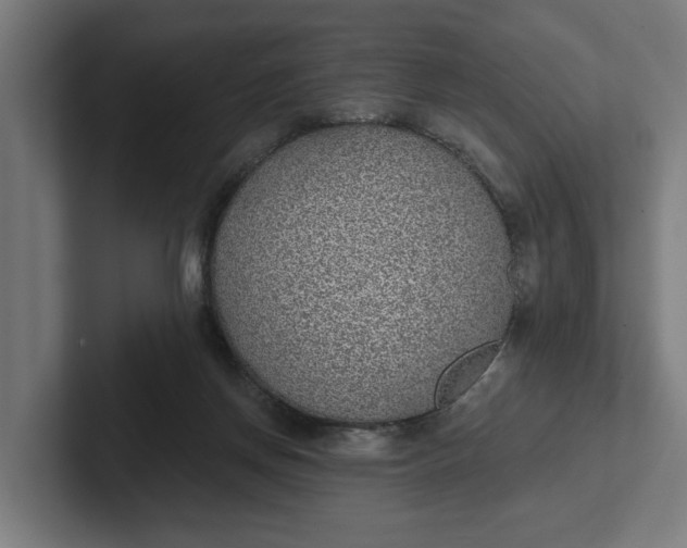 X0000102000166200808011129