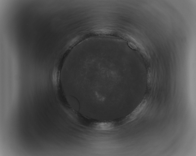 X0000102000168200808011129