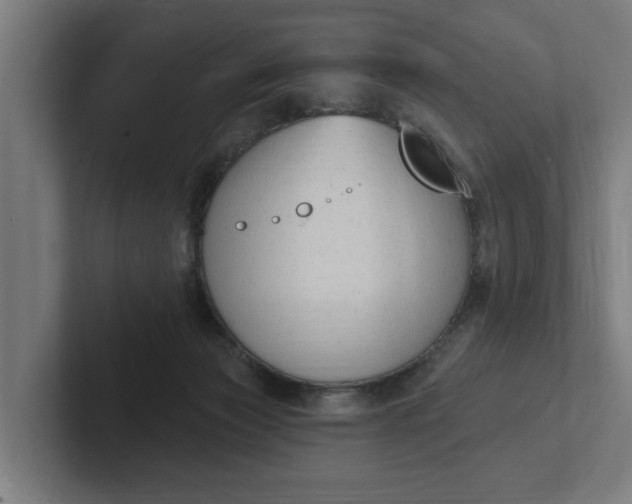 X0000102000173200808011129