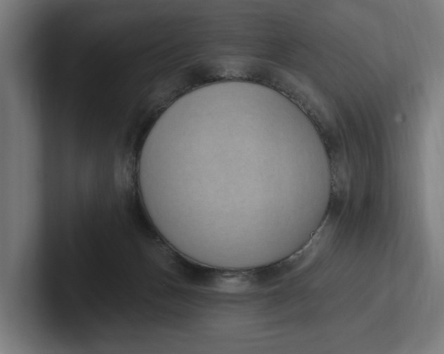 X0000102000175200808011129