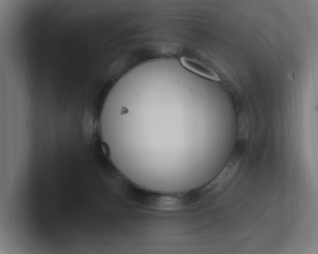 X0000102000176200808011129