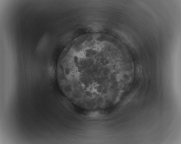 X0000102000177200808011129