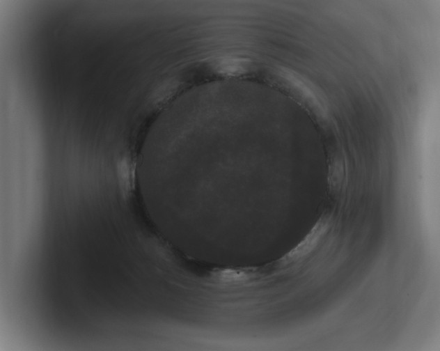 X0000102000180200808011129