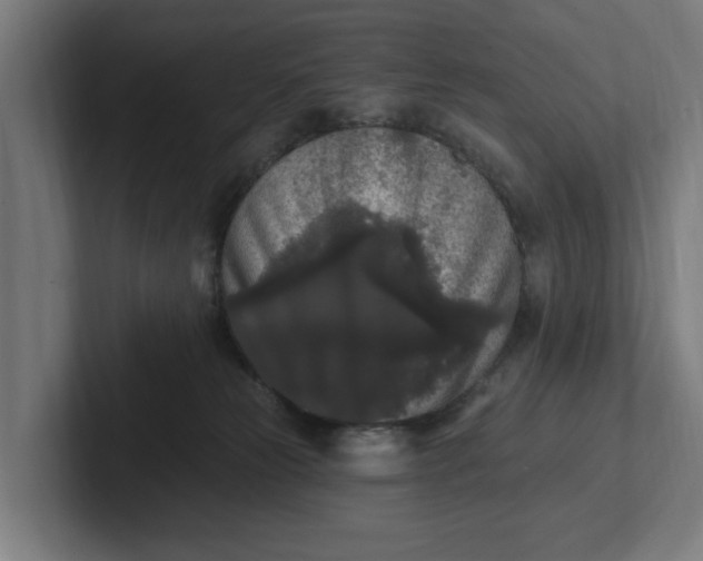 X0000102000181200808011129