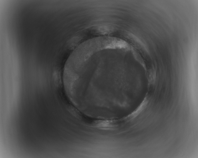 X0000102000182200808011129