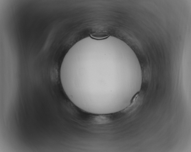 X0000102000183200808011129