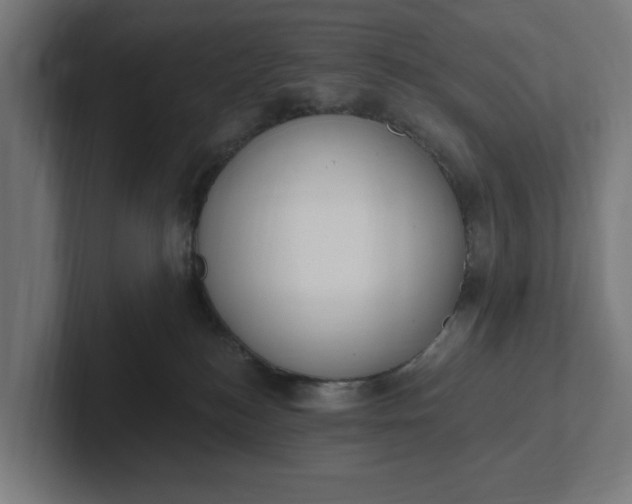 X0000102000184200808011129