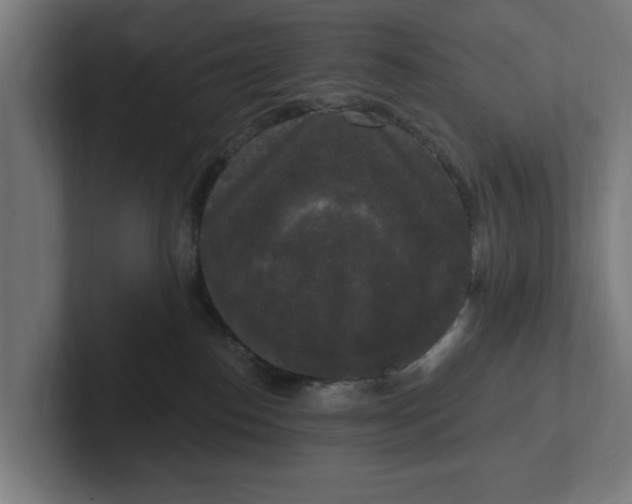 X0000102000186200808011129