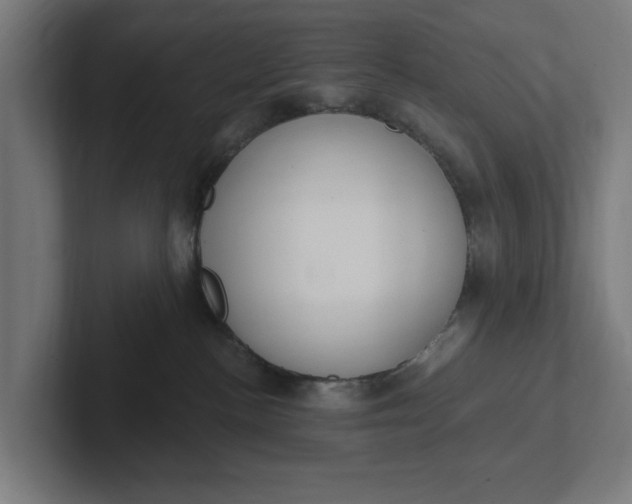 X0000102000188200808011129