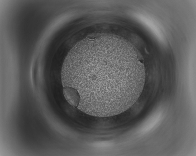 X0000102000189200808011129