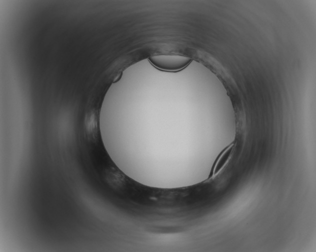 X0000102000191200808011129