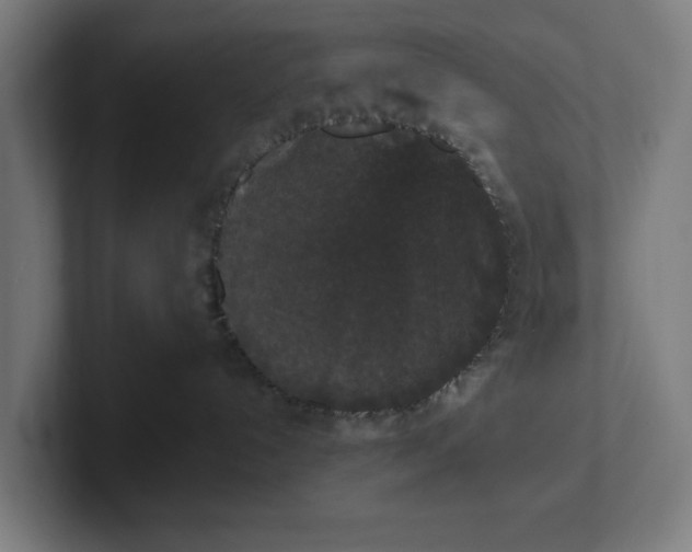 X0000102000192200808011129