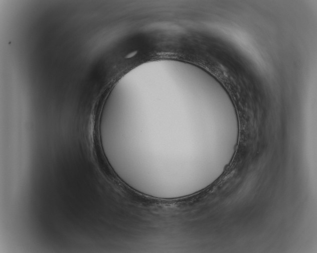 X0000102000194200808011129