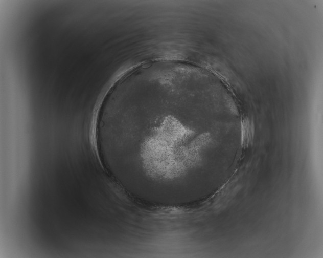 X0000102000195200808011129