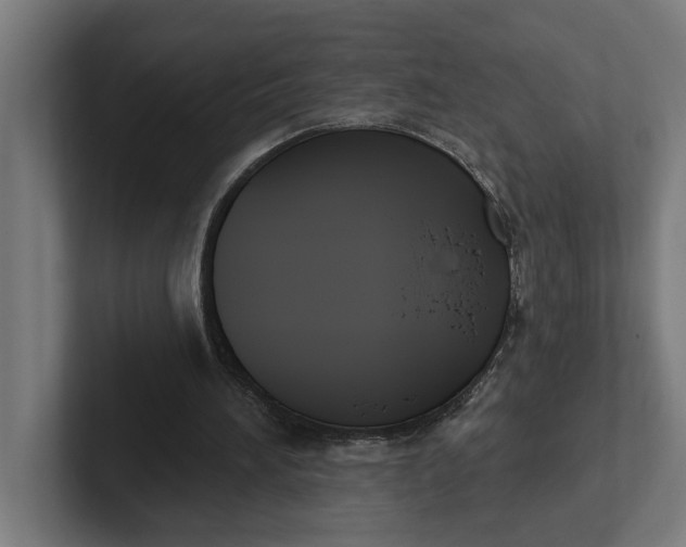 X0000102000196200808011129