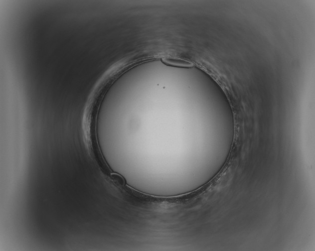 X0000102000197200808011128