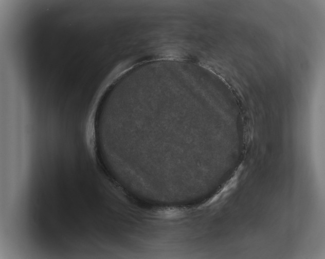 X0000102000198200808011128