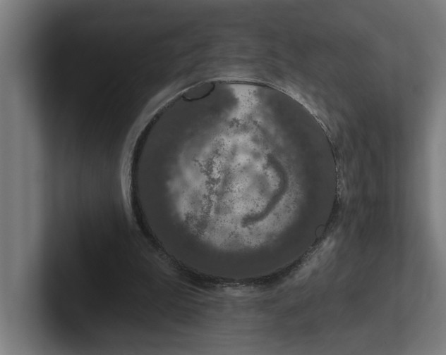 X0000102000199200808011128