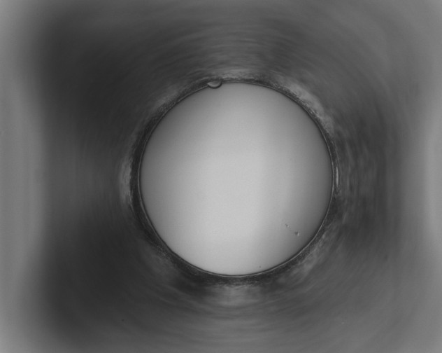 X0000102000201200808011128