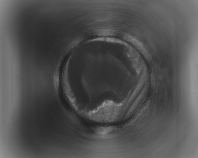 X0000102000202200808011128