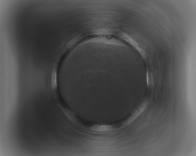 X0000102000205200808011128