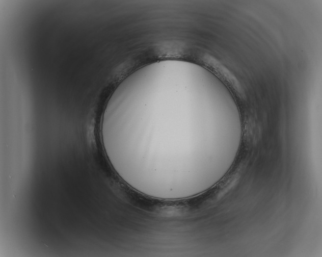 X0000102000209200808011128