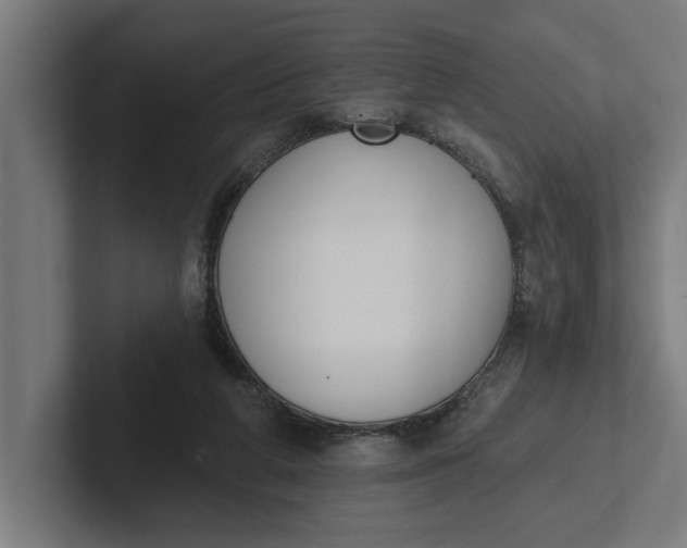 X0000102000210200808011128