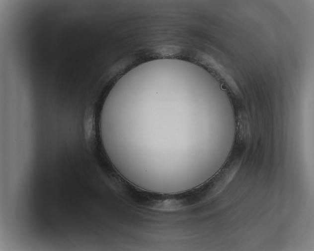 X0000102000212200808011128