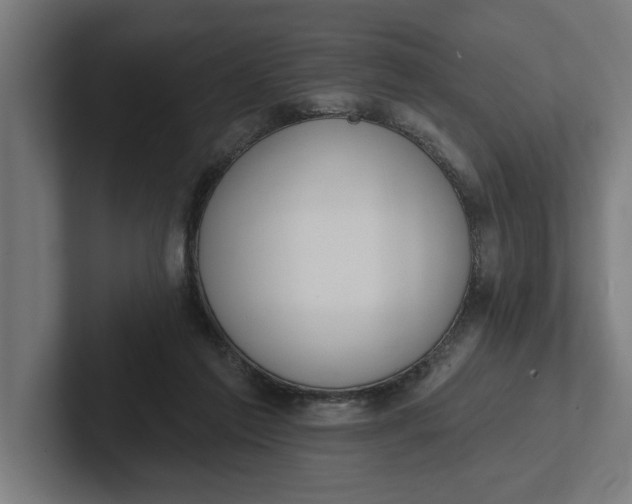 X0000102000213200808011128