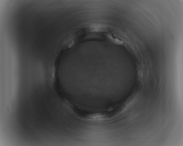 X0000102000219200808011128