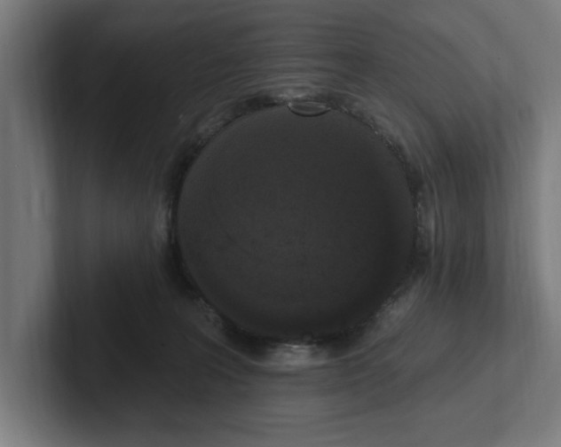 X0000102000227200808011128