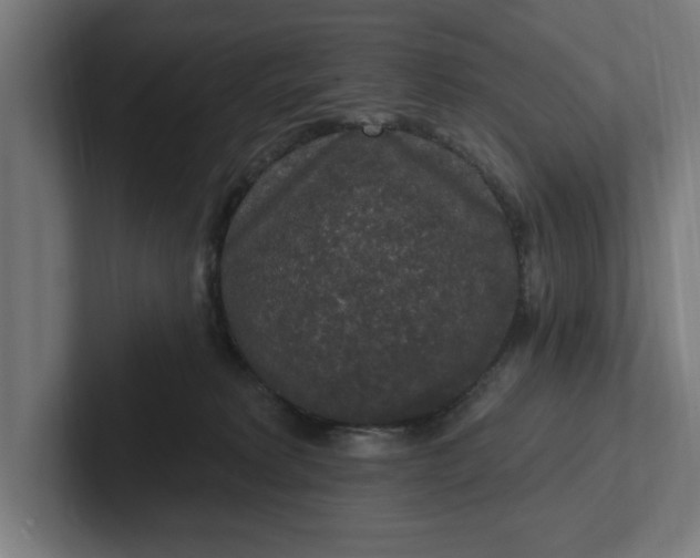 X0000102000229200808011128