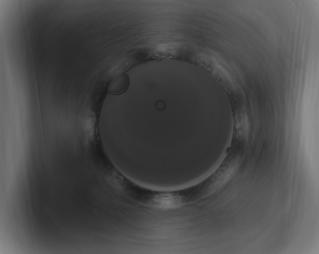 X0000102000231200808011128