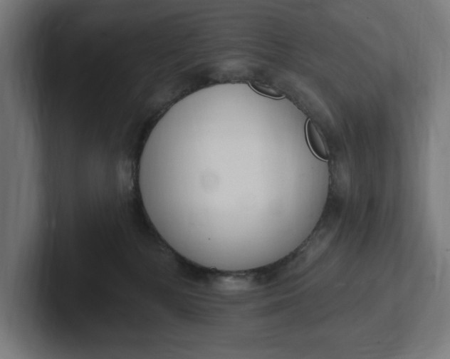 X0000102000232200808011128