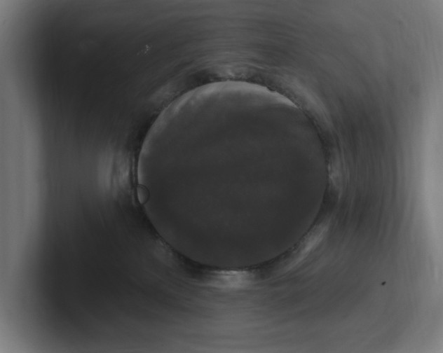 X0000102000233200808011128