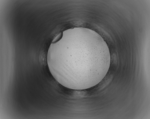 X0000102000234200808011128